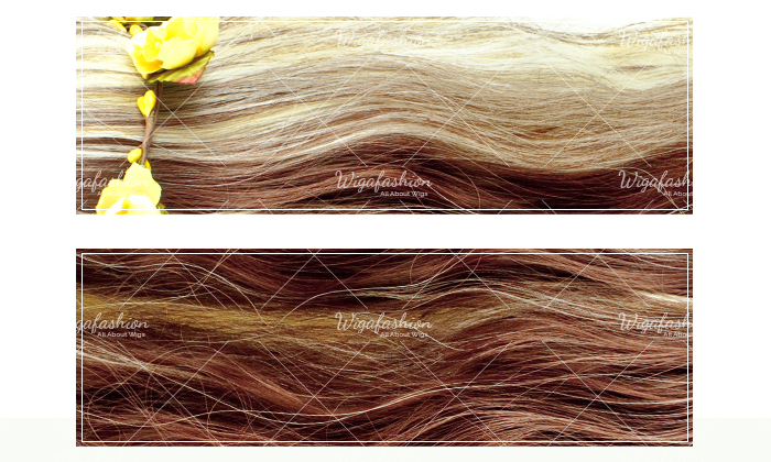 Two Tone Brown/Blonde Long Wavy 70cm-color.jpg